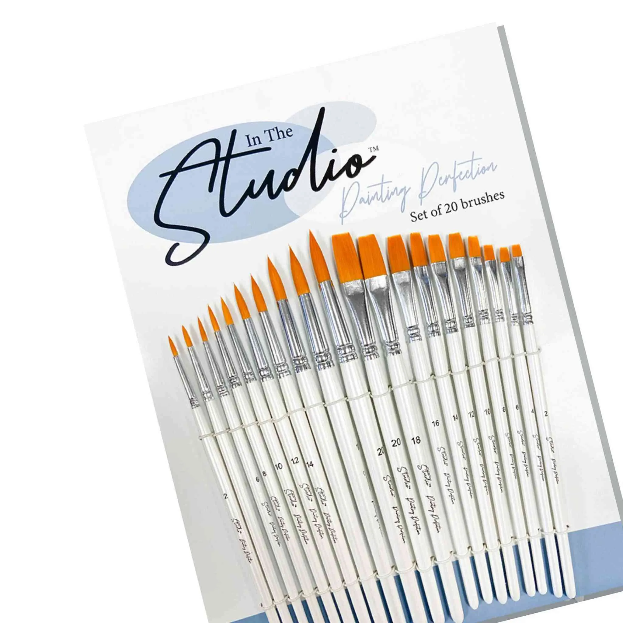 Assorted Paint Brush Set